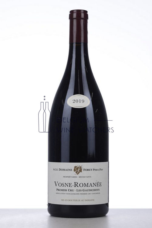 Image de 2019 VOSNE ROMANEE LES GAUDICHOTS